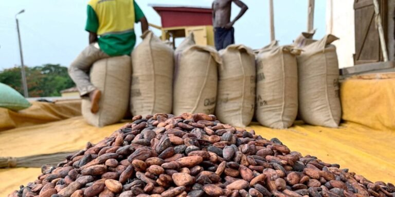 “We were expecting at least ¢4000” – Cocoa farmer on new producer price