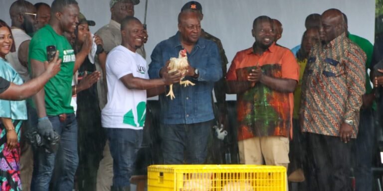 Ghana will produce 100% of the chicken we eat once Nkokɔ Nkitinkiti project takes off – Mahama