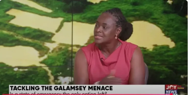 $200,000 needed to pilot ‘nano liquid’ to clean galamsey rivers – EPA