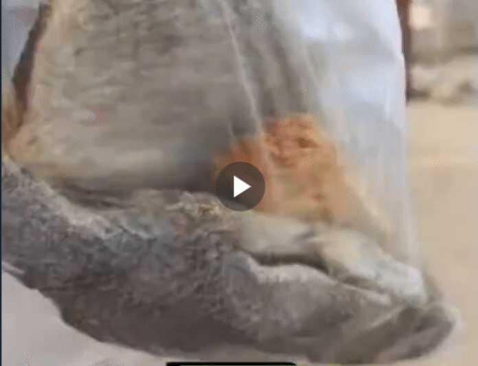 Teacher irate after receiving koobi and kako as Our Day gift