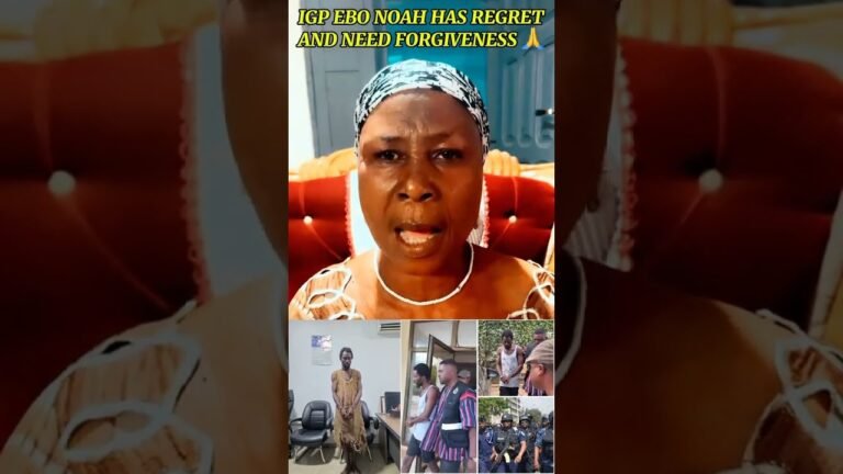 “My son is not mad” – Ebo Noah’s mum speaks