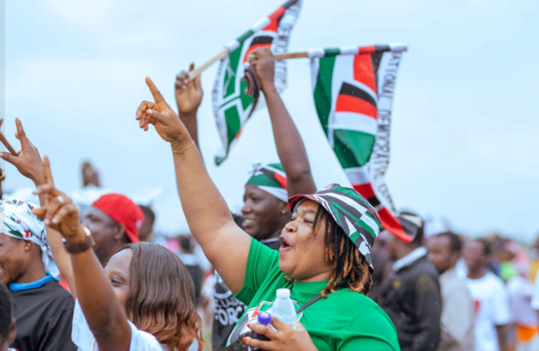 NDC to hold National Delegates Conference to elect new leaders on Dec 19