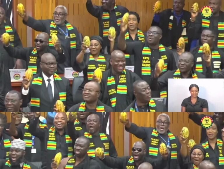 Video – Minority stage protest holding cocoa pods chanting in opposition to the cocoa prices reduction