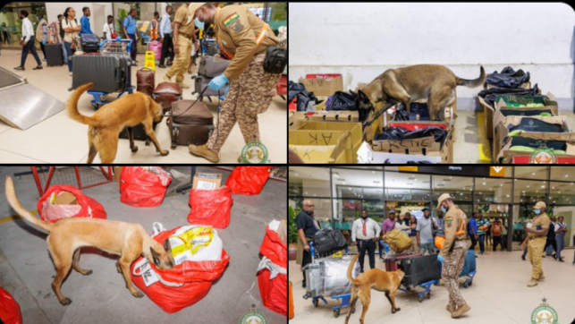NACOC intensifies K9 Operations at Kotoka Airport