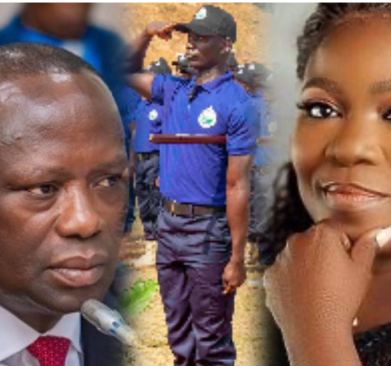 “Blue Water Guards useless and a bogus venture” – Afia Pokua