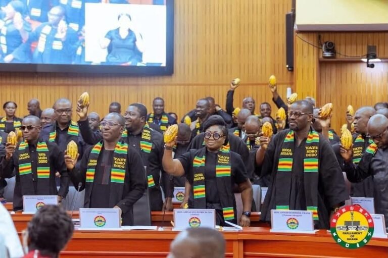 Focus on rebuilding the party and stop the Cocoa politics  – NPP told