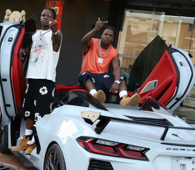 FBI busts Ghanaian twins in the US over fraud
