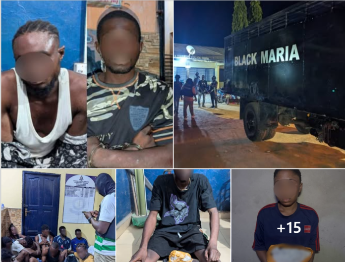 IGP’S Special Operations team arrests 74 suspects in anti-narcotics bust