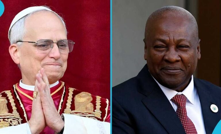 Pope Leo’s apology on slave trade is significant and refreshing – President Mahama