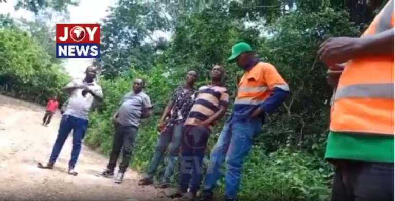 NDC executives exposed for allegedly interfering with Kobro Forest anti-galamsey raid