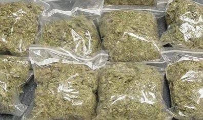 Indian hemp