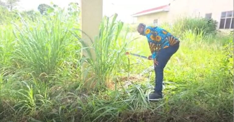 Continue weeding; you left those projects in the bush – NPP minority told