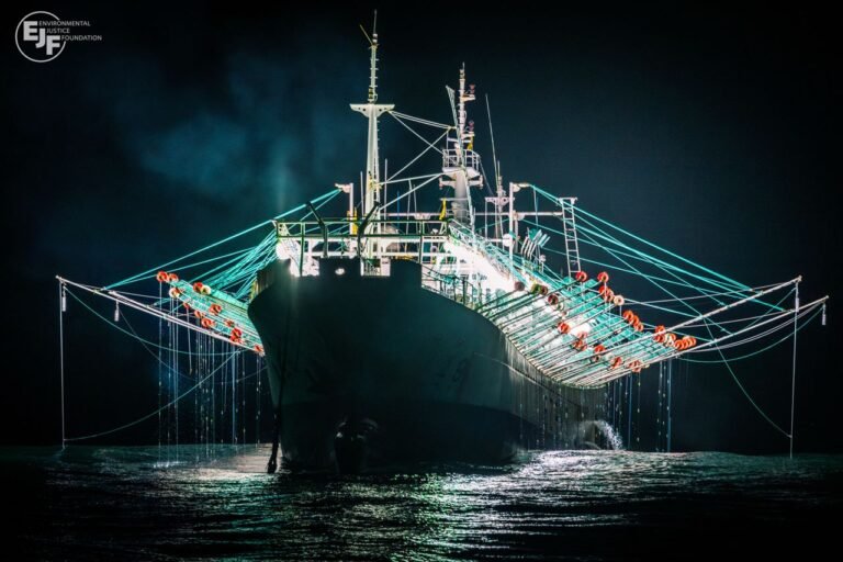 Fifteen Countries adopt Mombasa declaration to advance fisheries transparency and combat illegal fishing