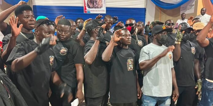 NPP launches new vigilante group named ‘Lions of NPP’