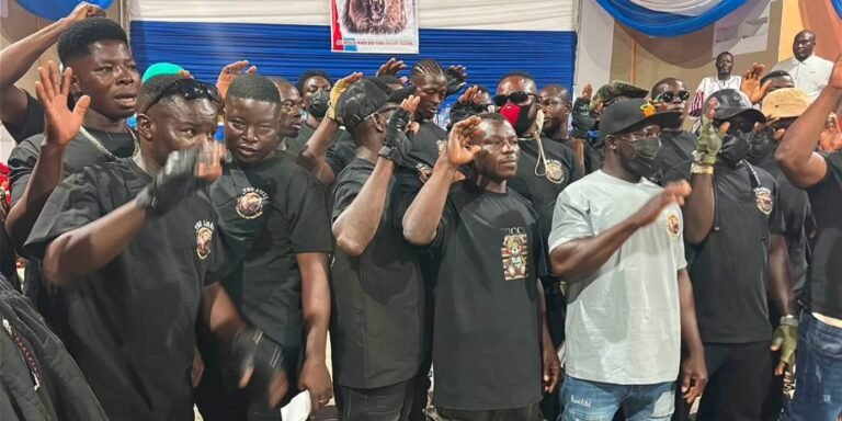 Video – NPP launches new vigilante group named ‘Lions of NPP’