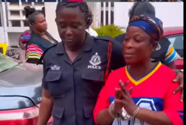 “I will die for my party!’ – Arrested TikToker declares as she is whisked away by Police 