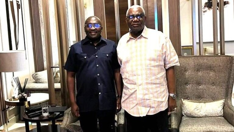 “Without Bawumia and Boakye-Agyarko, NPP is headed into Odaw gutter” – Fadi Daboussi