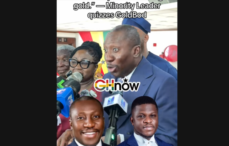 Minority acting like Ghana has never lost money on Gold? – Manteaw on GoldBod losses