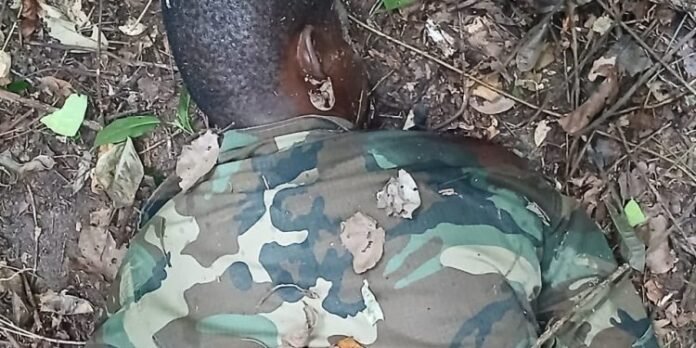 Wildlife guard shot dead at Kakum Forest Reserve
