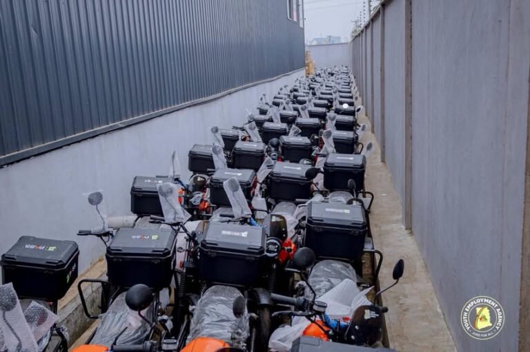 YEA set to launch EV Delivery Brigade to create 10,000 jobs – Maleek Basintale  