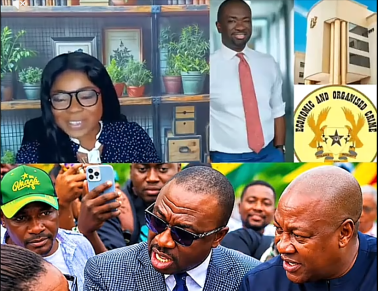 ‘It obvious there is a witch-hunt of NPP members’ – Afia Pokua