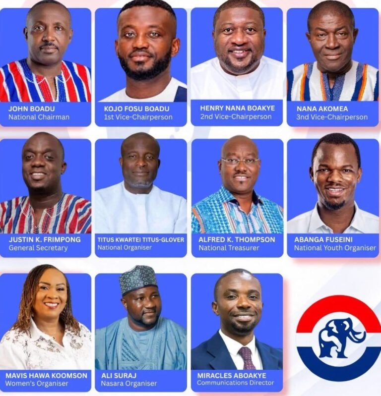 ‘NPP missed a glorious opportunity to give us a run for our money’ – Tanko-Computer